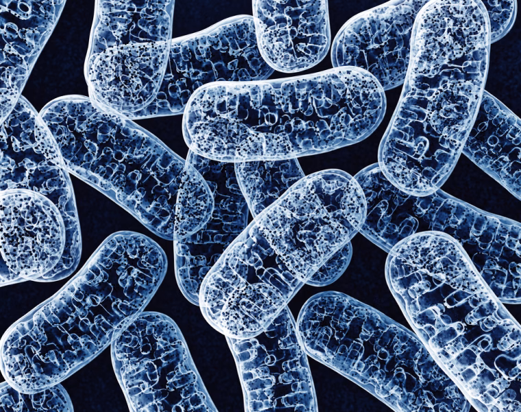Chronic Diseases 11 Group 793 Miskawaan Health Group