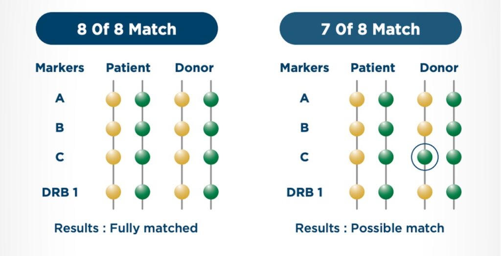 Cell Regeneration Therapy Miskawaan Health Group