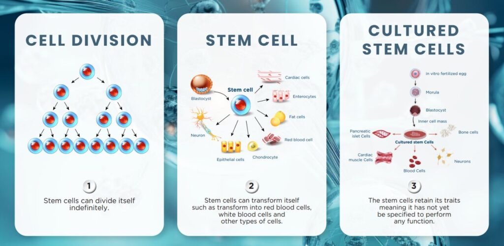 Screenshot 2024 01 25 at 4.34.05 PM Miskawaan Health Group