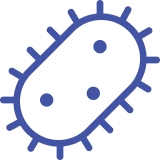 Advanced diagnostics 7 Vector Miskawaan Health Group