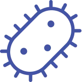 Vector Miskawaan Health Group