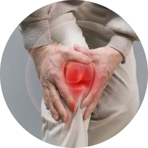 Hormones 7 Ellipse 51 1 Miskawaan Health Group