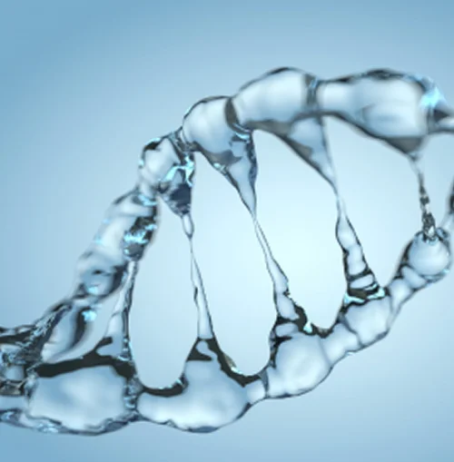 Rectangle 394 4 Miskawaan Health Group