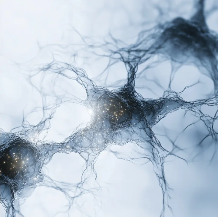 Our service photo 02 Miskawaan Health Group